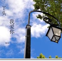 丫头,我爱你